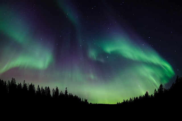 Värikkäät revontulet metsän yllä